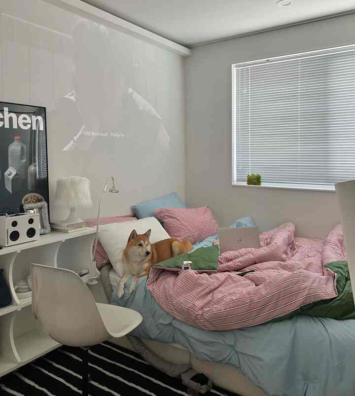 ピンクと青の寝具、白いブラインドがある犬のいる清潔な寝室