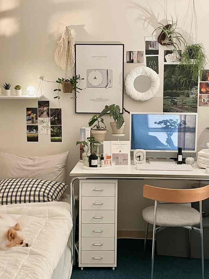 白を基調としたワンルーム寝室兼ホームオフィス空間、デスクとドレッサー、ハンギングプランツが配置され、ベッドに犬がくつろいでいる雰囲気のあるインテリア