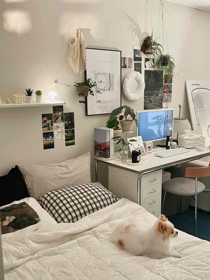 White and natural tone studio bedroom featuring bed, desk with hanging plants and decor in a minimal style