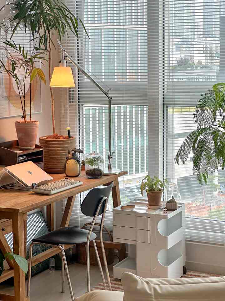 White and wood-toned studio apartment home office featuring a wooden desk, blinds, multiple plants, and a warm lighting atmosphere