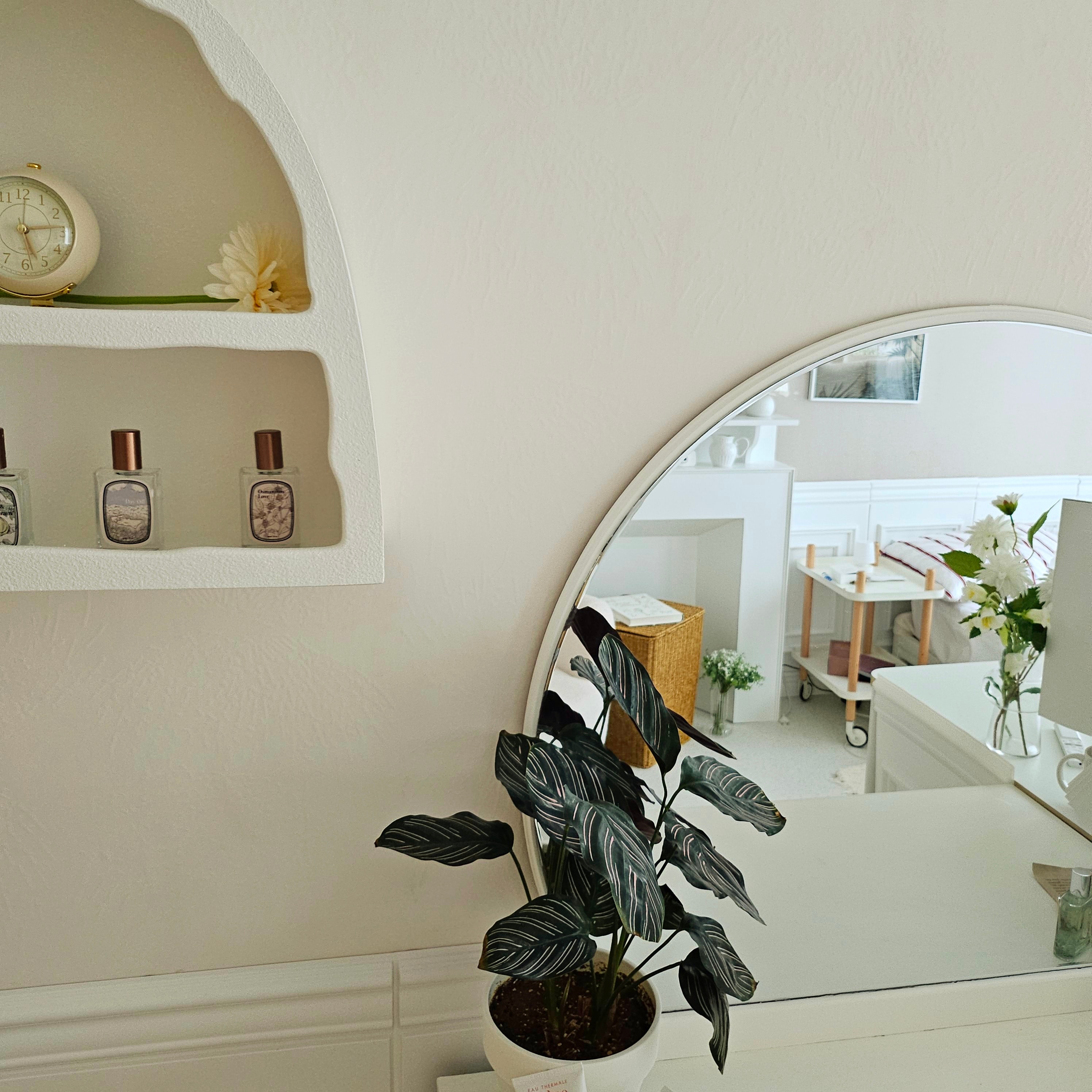 Two-Tier Arched Display Shelf user photo