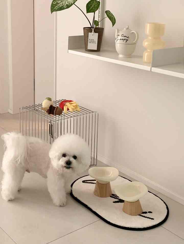 Minimal interior with white and beige tones featuring a small dog feeding station and metal pet cage on a clean floor