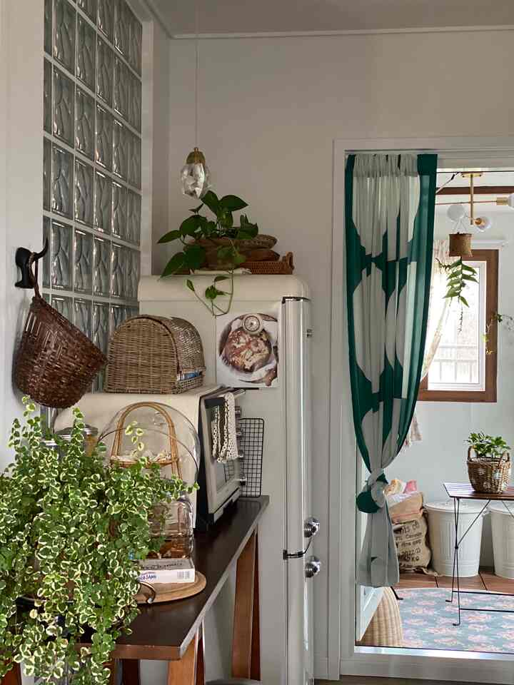 Rattan props and greens~🌿
A space that is always pretty~🤎

#Olife #플랜테리어 #반려식물  #식물집사 #식물키우기 #식물추천
#Home gardening #화분 #실내식물#Flower