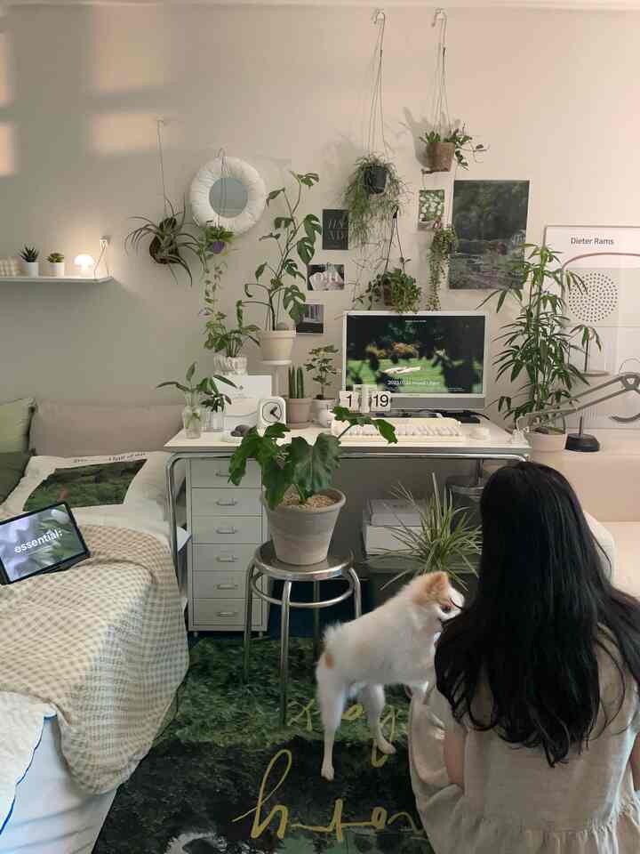 White-toned studio bedroom and home office featuring abundant green plants and a pet dog interacting comfortably