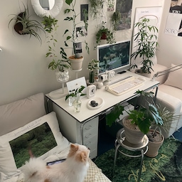패브릭포스터를 바닥에 깔면 색다른 느낌을 줄 수 있어요🌱💚🍀 
더 완벽한 그린테리어를 위해서 깔아보았는데
러그처럼 자연스럽게 녹아들죠? 🐕🤍 
#오하우스 #오하우스시즌9 #오하우스픽 #플랜테리어 #식물 #식물인테리어 #식물키우기 #식물테리어 #데스크테리어 #데스크인테리어 #책상 #책상꾸미기 #책상인테리어 #서재 #일체형pc #방꾸미기 #실내식물 #화이트인테리어 #그린테리어 #그린인테리어 #행잉식물 #행잉식물 #이케아 #책상  

