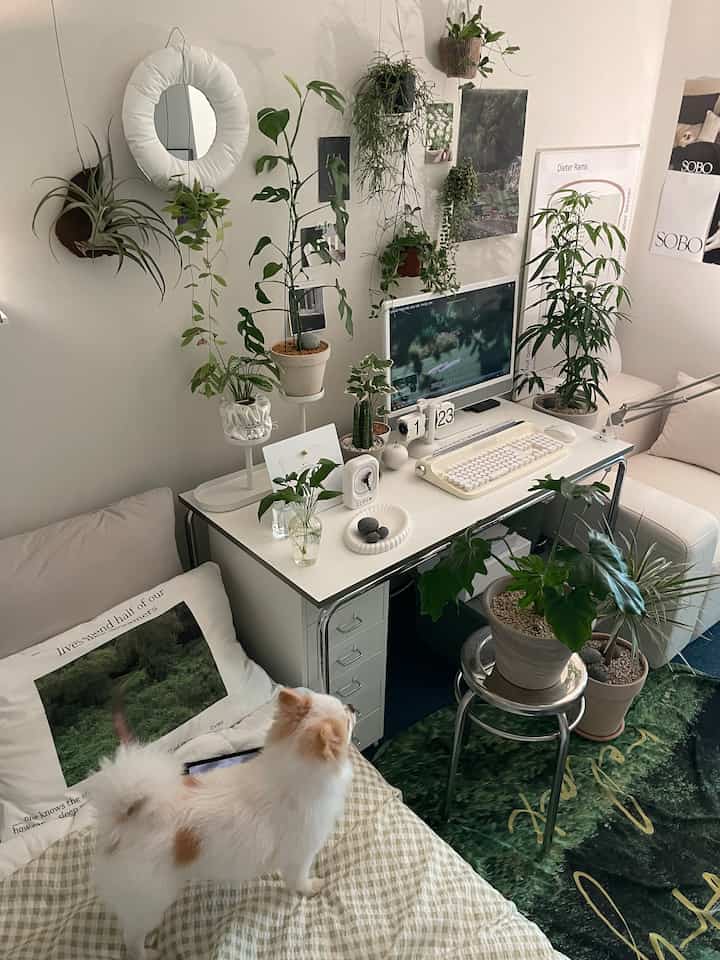 Anda bisa memberikan nuansa berbeda dengan meletakkan poster kain di lantai🌱💚🍀 
Saya meletakkannya untuk anjing terrier hijau yang lebih sempurna.
Itu menyatu secara alami seperti permadani, bukan? 🐕🤍  #오하우스시즌9 #오하우스픽 #플랜테리어 #식물 #식물인테리어 #식물키우기 #식물테리어 #데스크테리어 #데스크인테리어 #책상 #책상꾸미기 #책상인테리어 #서재 #일체형pc #방꾸미기 #실내식물 { 16# Interior Putih} #그린테리어 #그린인테리어 #행잉식물 #행잉식물 #이케아 #책상  
 