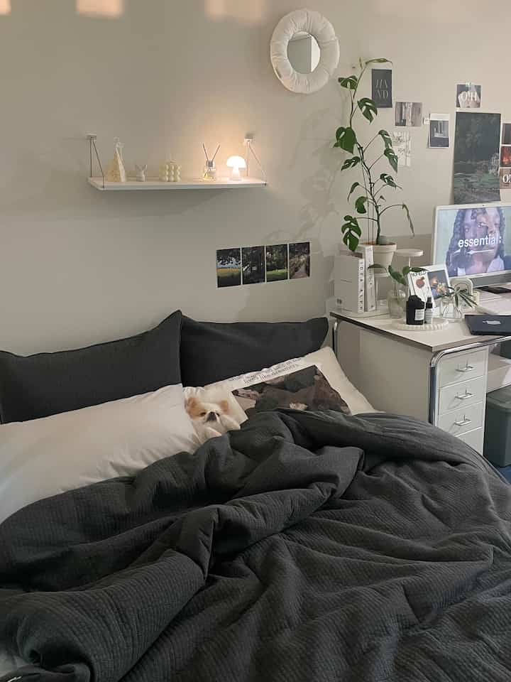 グレーとホワイトの色調の寝室、快適な寝具とベッドにいる犬が配置されたモダンでミニマルな雰囲気のあるインテリア