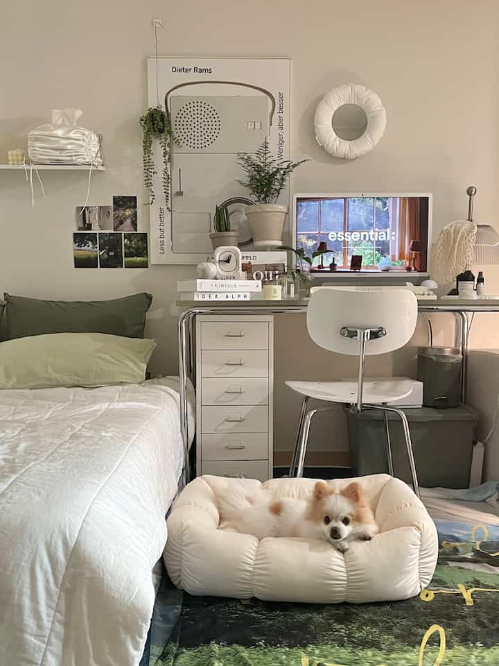 White and green toned bedroom-studio featuring a cozy dog bed and an organized desk with plants, creating a clean and inviting atmosphere