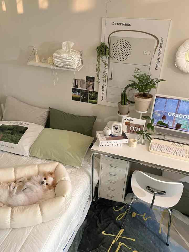 White and green toned bedroom and desk area featuring a dog resting in a pet bed in a cozy home office-bedroom space