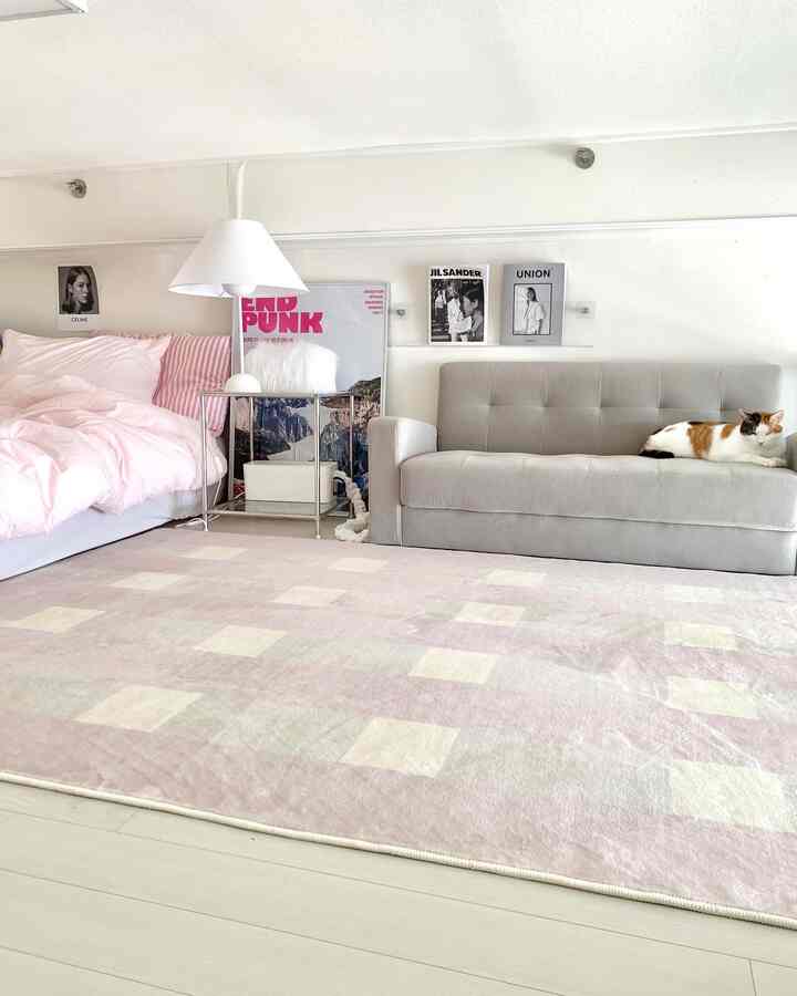 ピンクとグレーのトーンが特徴のワンルーム寝室、ふかふかのラグとソファに座る猫がいる雰囲気のあるインテリア