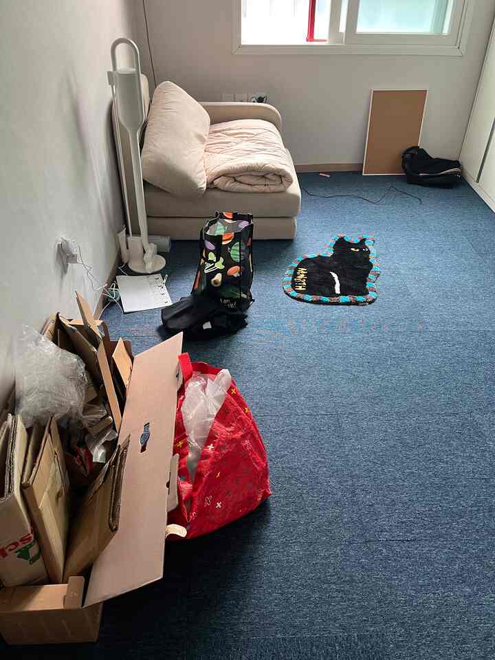 ベージュのソファベッドと青いラグがある狭くてシンプルな部屋