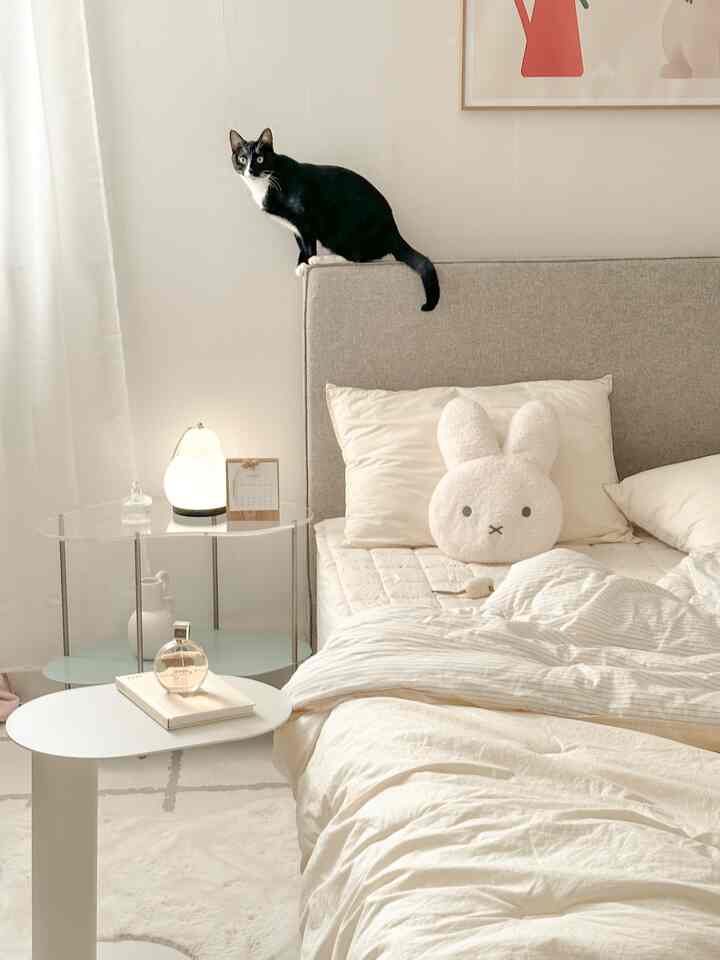 Beige and white toned bedroom featuring a cozy bed with a cute black cat sitting on the headboard