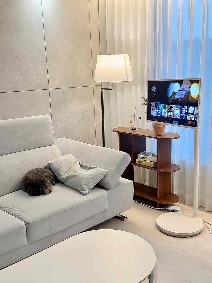 白とナチュラルトーンのリビング、グレーのソファにペットの犬、フロアランプとテレビスタンドが配置された印象的な空間