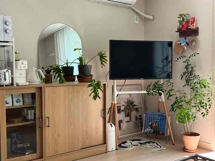 白を基調としたリビング、ナチュラルな木製収納キャビネットとテレビ台、多彩な植物が配置された雰囲気のあるインテリア