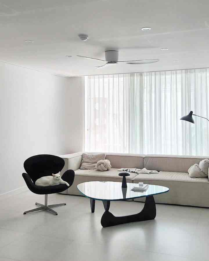 Bright monotone minimalist living room featuring a long beige sofa, black armchair with a cat, and a distinctive glass coffee table
