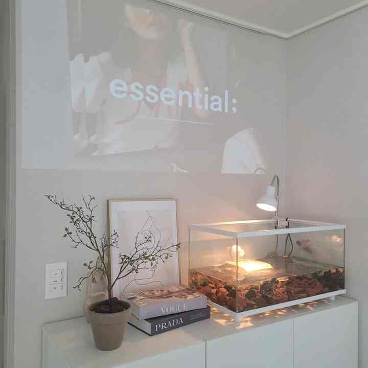 白を基調とした子供部屋、アクアリウムとマオリソポラの鉢植え、飾り用の本と額縁が配置されたシンプルなインテリア