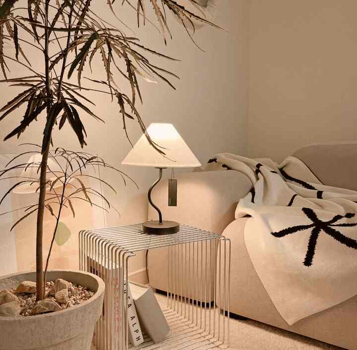 Beige-toned living room featuring a sofa with black patterned blanket and a table lamp, creating a cozy atmosphere