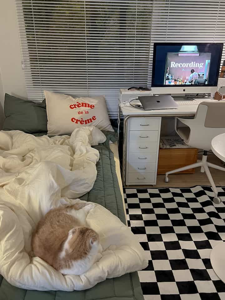 White and green tone small room featuring a bed, desk, and a cat in a cozy home office setup
