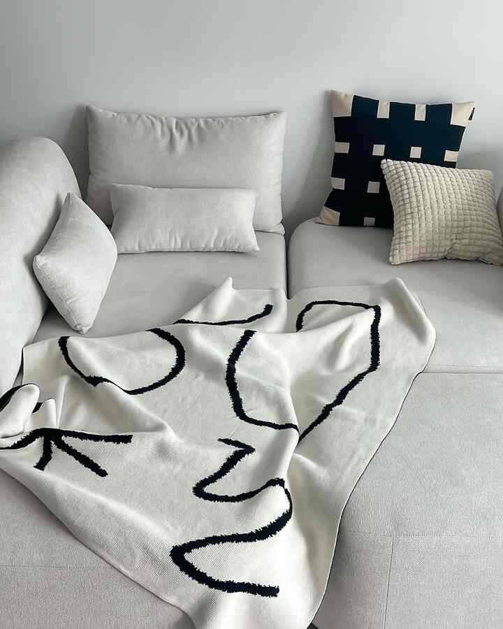 A white and monotone living room featuring a spacious sofa, patterned throw, and assorted cushions in a simple setting