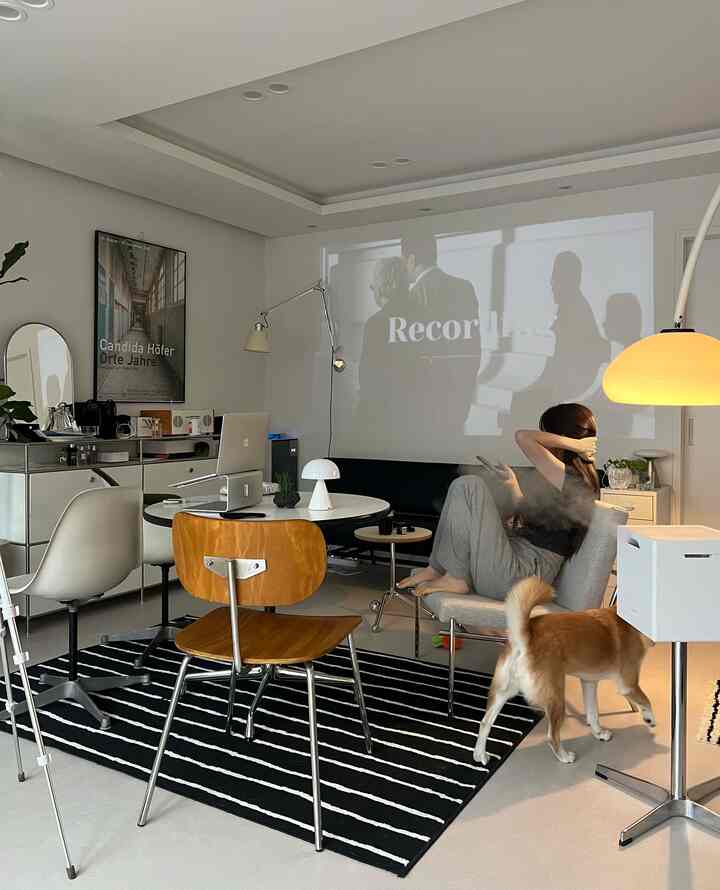 ホワイトとナチュラルな色調のリビングルーム、丸テーブルと椅子、犬がいる居心地の良いホームオフィスの雰囲気