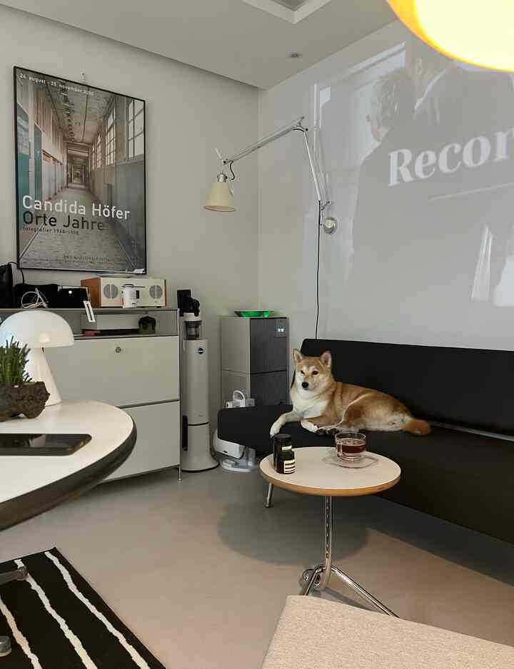 白と黒のトーンが調和したモダンなリビング、ソファの上に犬が座り、サイドテーブルには飲み物が置かれている印象的な空間