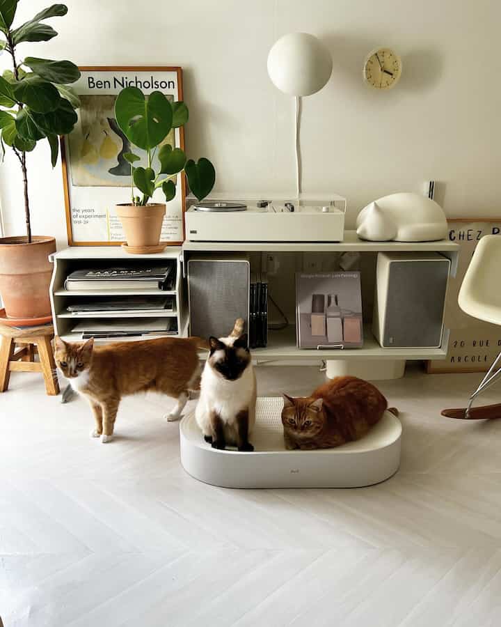 White-toned living room featuring three cats on a modern white scratching post with natural plants and minimalist furniture
