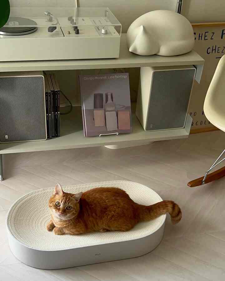 White and beige toned living room with a ginger cat resting on a white oval scratching post in a modern setting