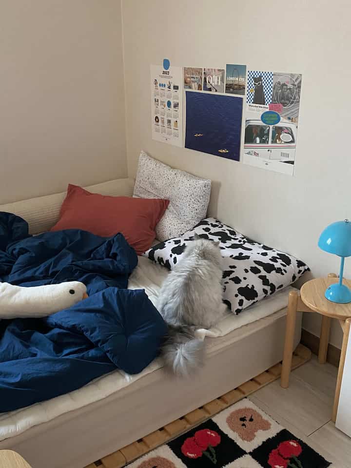 Navy-toned bedroom space featuring pillows and cozy bedding with a calm atmosphere