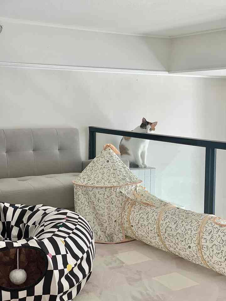 A calm white and gray toned living room featuring a sofa and cat tunnel house, creating a cozy atmosphere for living with a pet cat
