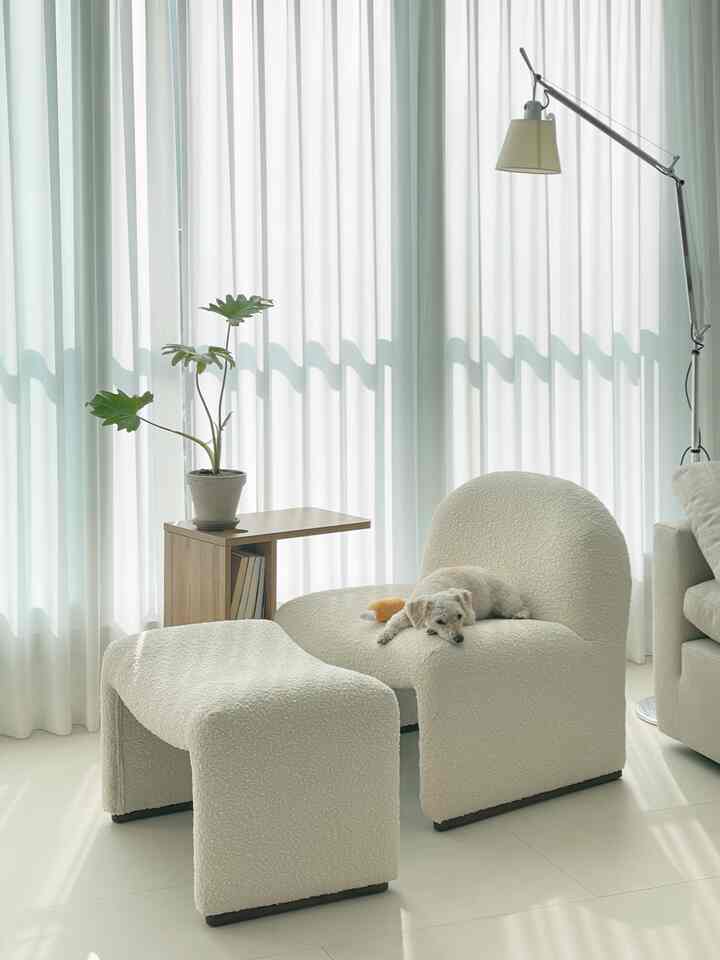 明るいホワイトトーンのリビングルーム、ブークレの一人掛けアームチェアとオットマン、小さなペットの犬がソファの上で休んでいる雰囲気のあるインテリア