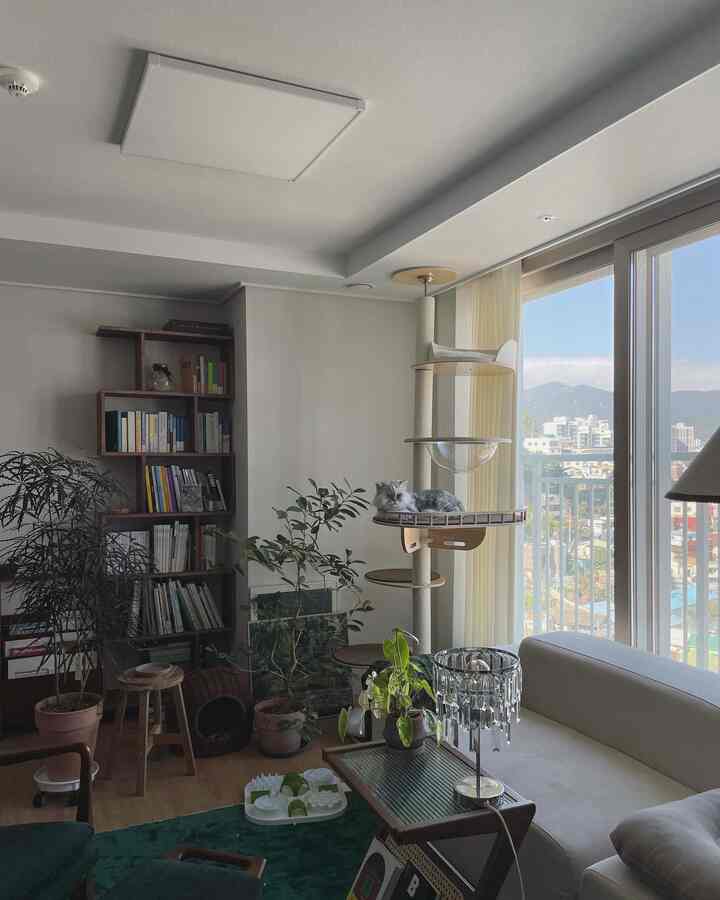 ナチュラルな木目調と白が調和するリビング、キャットタワーとカラフルな植物が配置された雰囲気のあるインテリア