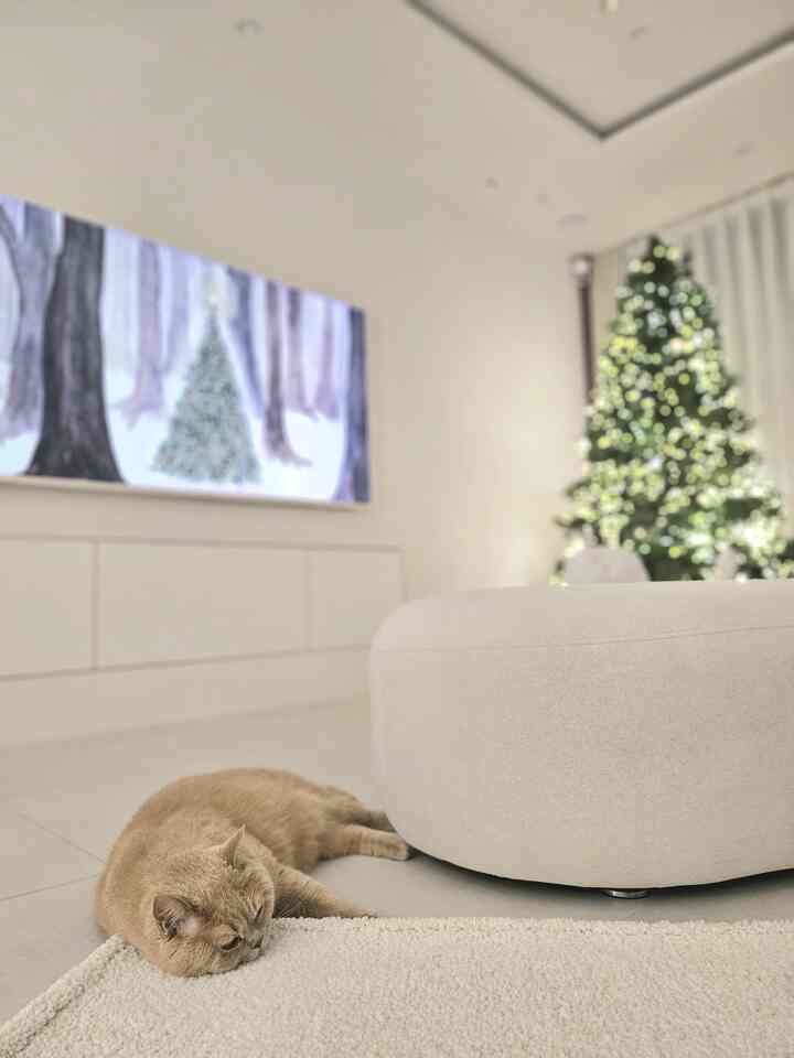 White and beige toned living room featuring a soft ottoman and rug with a cat lying comfortably in a natural modern interior