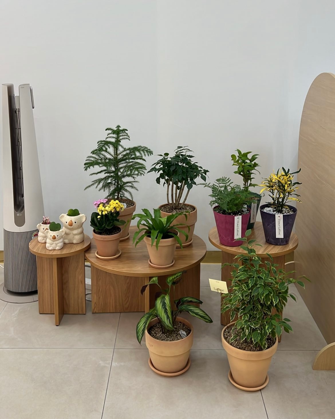 Ver Arch Room Divider user photo