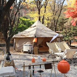 동계형 예쁜 텐트 추천🏕️
제가 좋아하는 브랜드 중 하나가 DOD인데요!
그 중 “타케노코”라는 텐트는 사실 한여름 빼고는 다 쓰기 좋은 텐트에요!
그 중에 겨울에 특히 더 예쁘답니다!
뾰족한 지붕에 게르형 텐트라
하얀 눈이 쌓이면 이쁨 그 자체!!❄️
#오늘뭐하집 #요즘트렌드 #캠핑
#텐트추천 #dod #dod타케노코 #겨울캠핑
