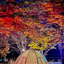 단풍캠핑 할 수 있는 뷰맛집🍁🍂
이곳은 계곡과 함께 있어서 여름에도 가을애도 뷰맛집이 가능하죠ㅎㅎ
강원 화천에 워치한 러브팜캠핑장입니다.
서울에서 1시30분~2시간 거리입니다.
사이트가 엄청 많아서 홈페이지들어가서 확인해보는걸 추천해요!
사이트 크키,위치 다 다르기때문입니다!
#오늘뭐하집 #캠핑 #캠핑장 #캠핑장비 #캠핑용품 #텐트 #강원도 #러브팜캠핑장 #camping #가을캠핑 #피크닉  #활동채널명 #요즘트렌드