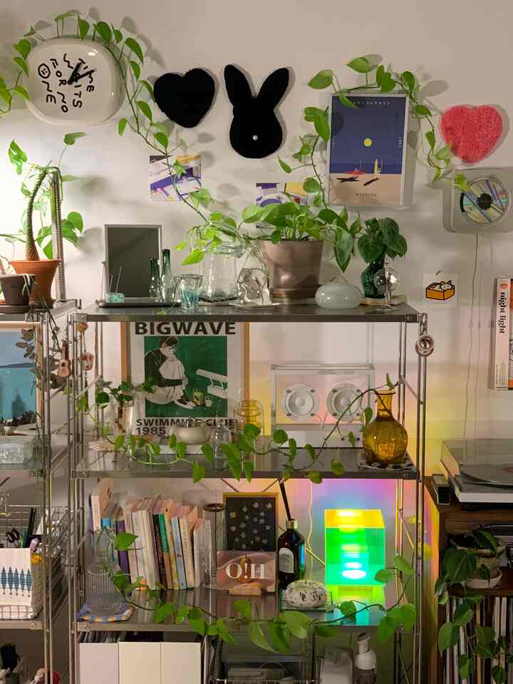Green plants and stainless steel shelves with vintage-style living room wall decor and hydroponic plant setup