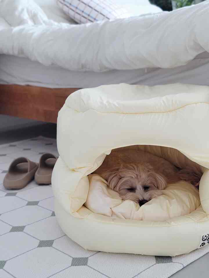 白とベージュのトーンが調和した寝室、居心地の良いペットベッドに犬が横たわる雰囲気のあるインテリア
