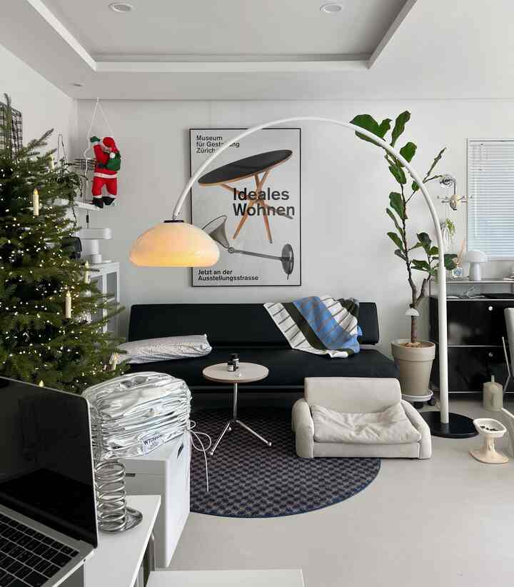 白い壁に黒いソファが配置されたリビング、猫用のペットベッドと大きな観葉植物がある自然な雰囲気のインテリア