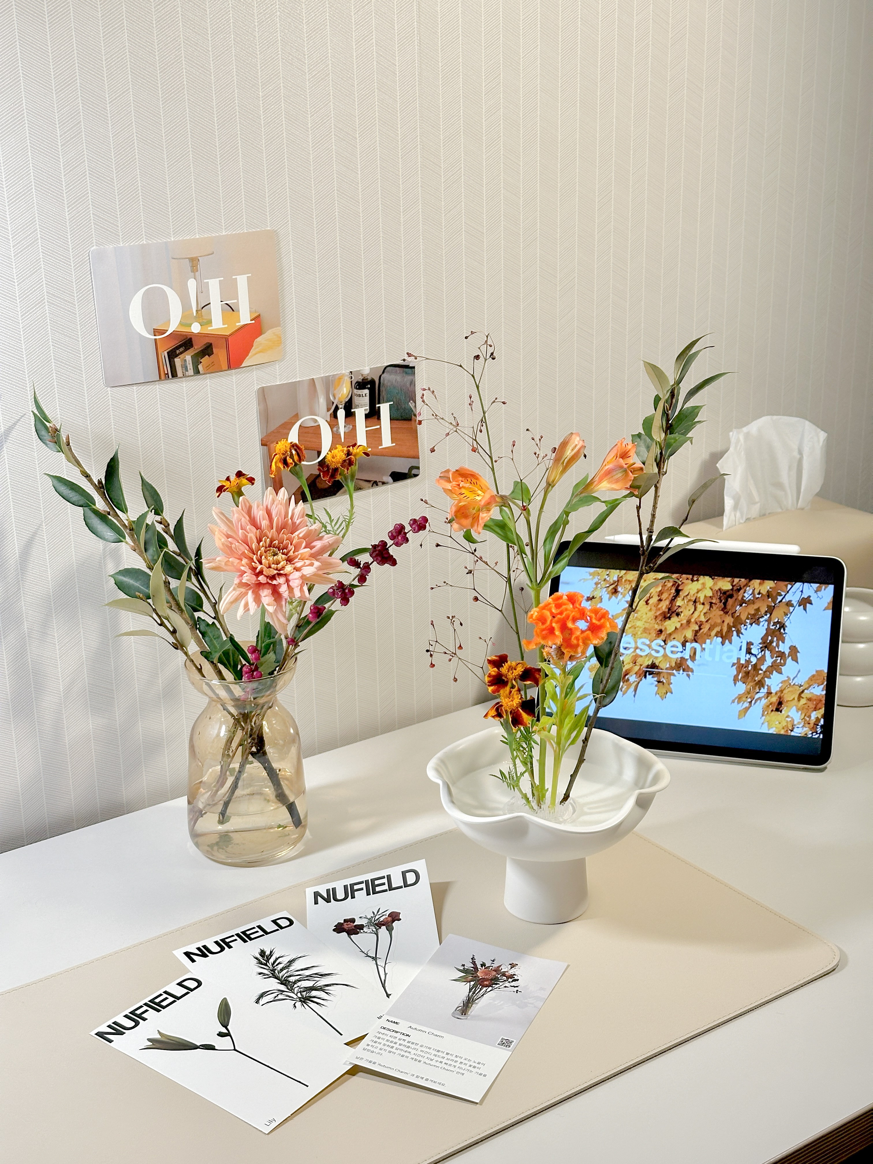 Macaron Ceramic Vessel user photo