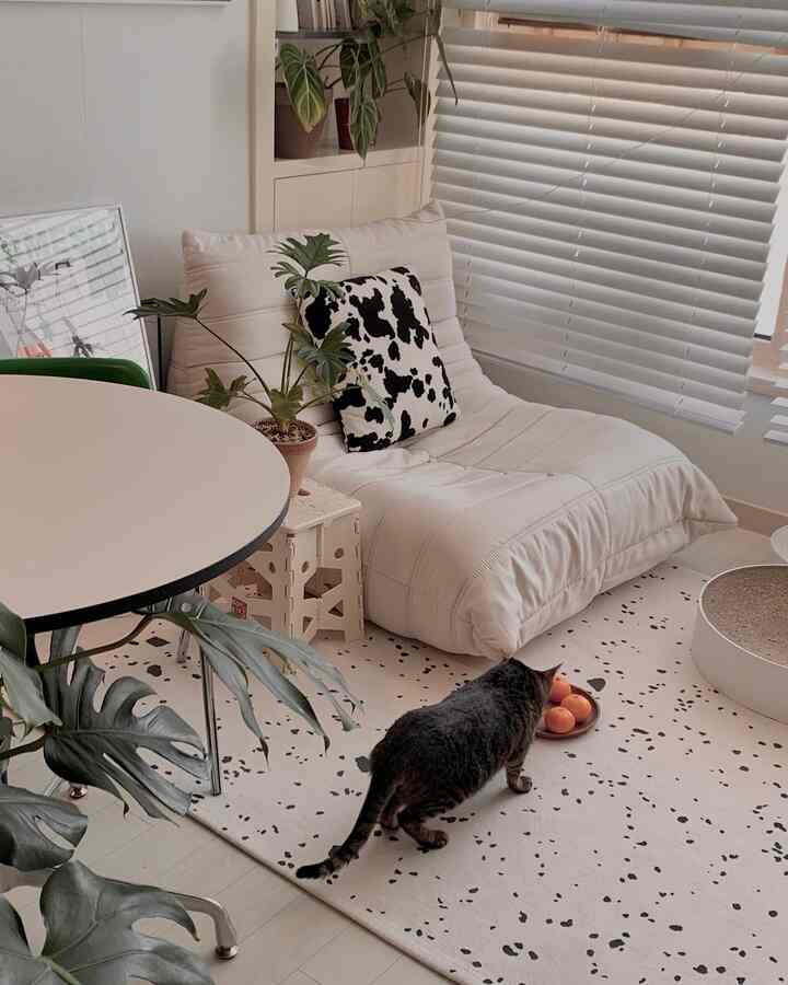 Piyama tidur, selimut, jeruk keprok, film, kucingku 💛

#interior dupleks #dekorasi studio #interior studio #dekorasi dupleks #dekorasi rumah #hanya kafe Saya ingin tahu tentang #dekorasi ruang tamu #duplex officetel #studio duplex #interior ruang tamu #interior kucing #interior hewan peliharaan #kehidupan sehari-hari #planterior #planterior #kimmi room #self Interior #Catstagram #Ohouse Musim 9 #Rekor Hari Ini 