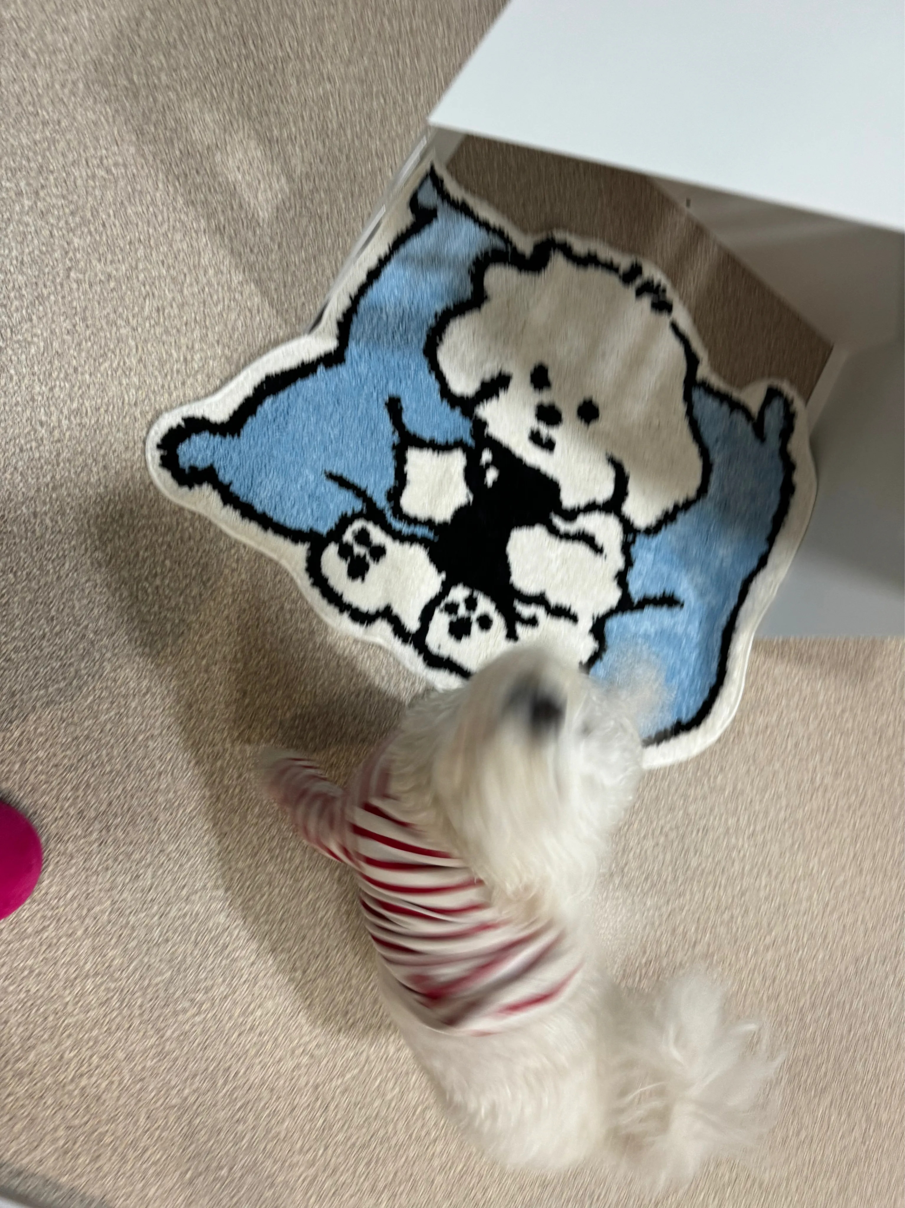 Bichon Pillow Tufted Accent Rug user photo
