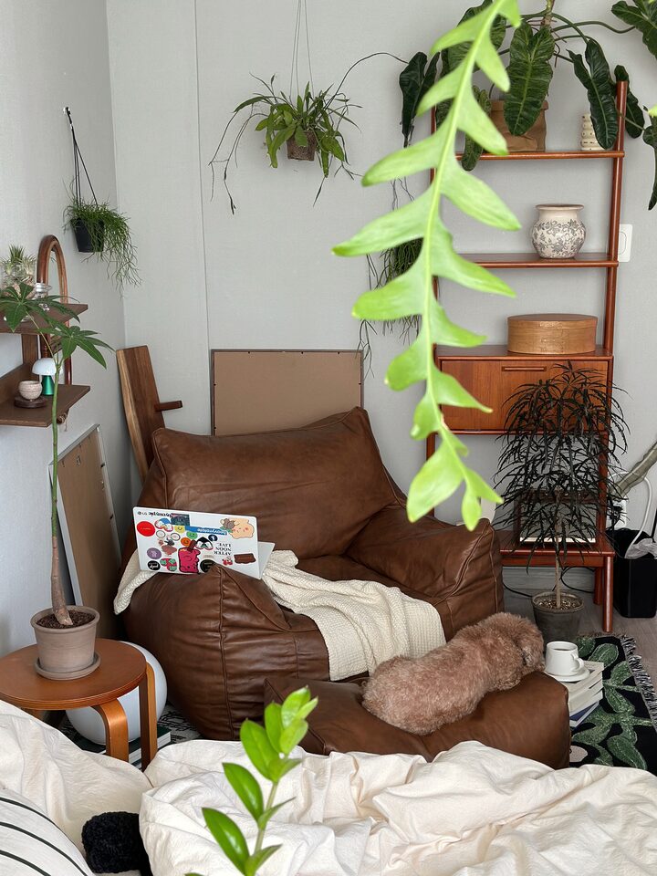 short form carousel card thumbnail