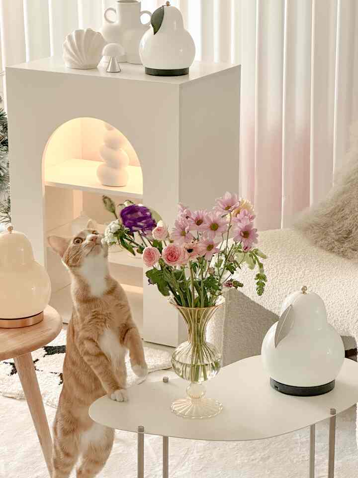 A cozy and modern living room in white and beige tones featuring a vase with flowers, lighting elements, and a curious cat