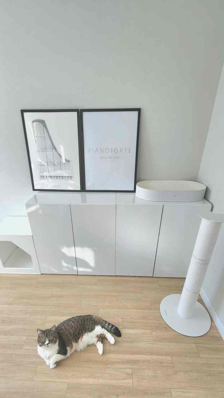 白い壁とキャビネット、ナチュラルウッドの床が調和する、猫と共に使うワークスペースのある雰囲気のあるインテリア