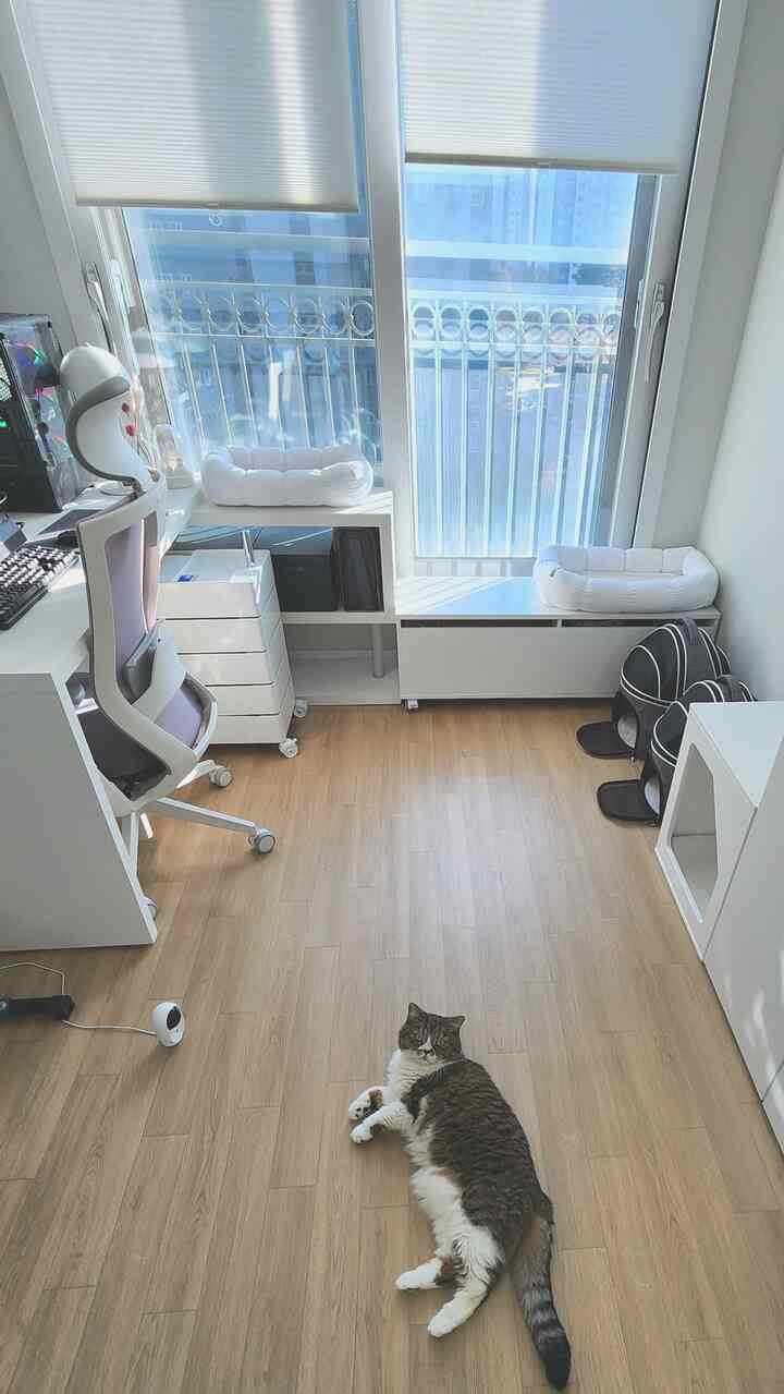 明るいホワイトとウッドトーンが調和するコンパクトなホームオフィス、猫用ベッドとハウスが配置された居心地の良い空間