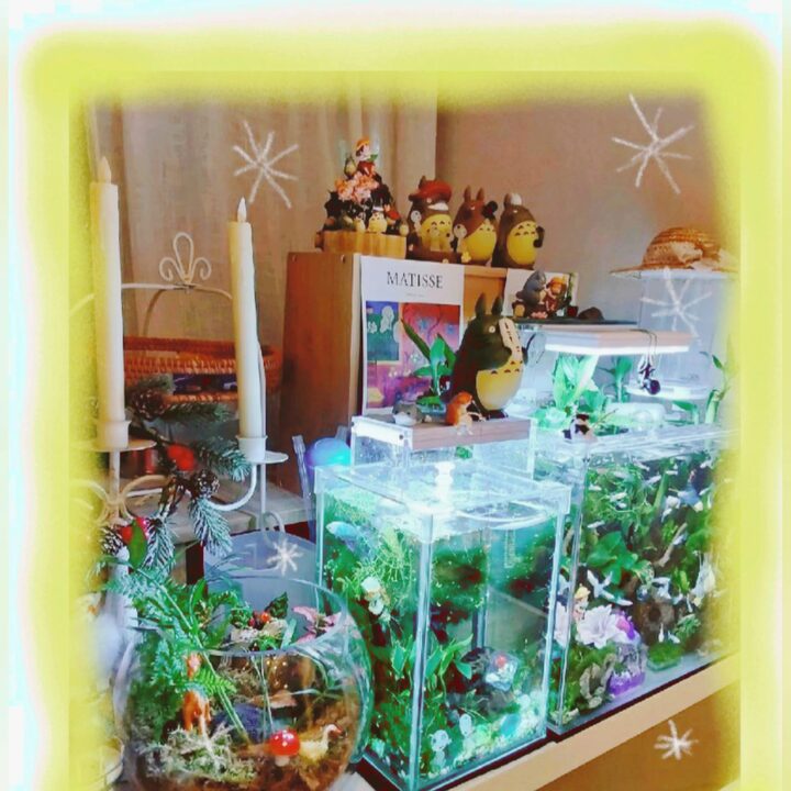 short form carousel card thumbnail