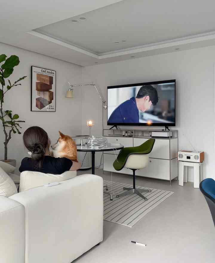 白と緑のトーンのリビング、ソファと犬がくつろぐシンプルでモダンな雰囲気のあるインテリア