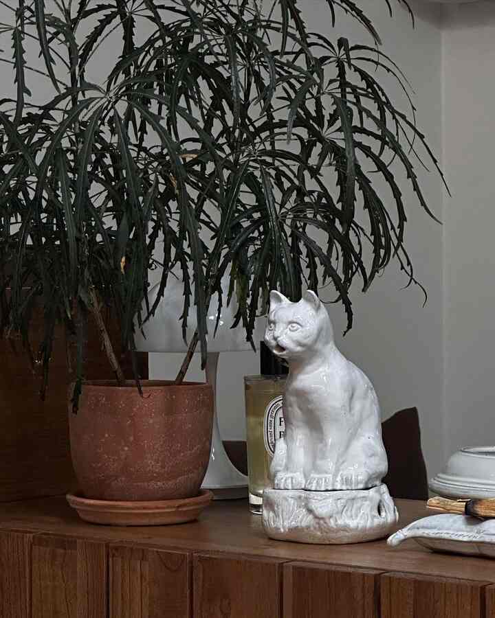 今私の家にも猫がいる！
3番目のアスティエドヴィラートインセンスホルダー
Setsuko猫インセンスホルダー

インセンススティックを燃やすと口から煙が吹きます。
じっと見つめられるヒイラギ感 

＃インセンスホルダー＃アスティエドヴィラート＃インテリア小道具＃香り
