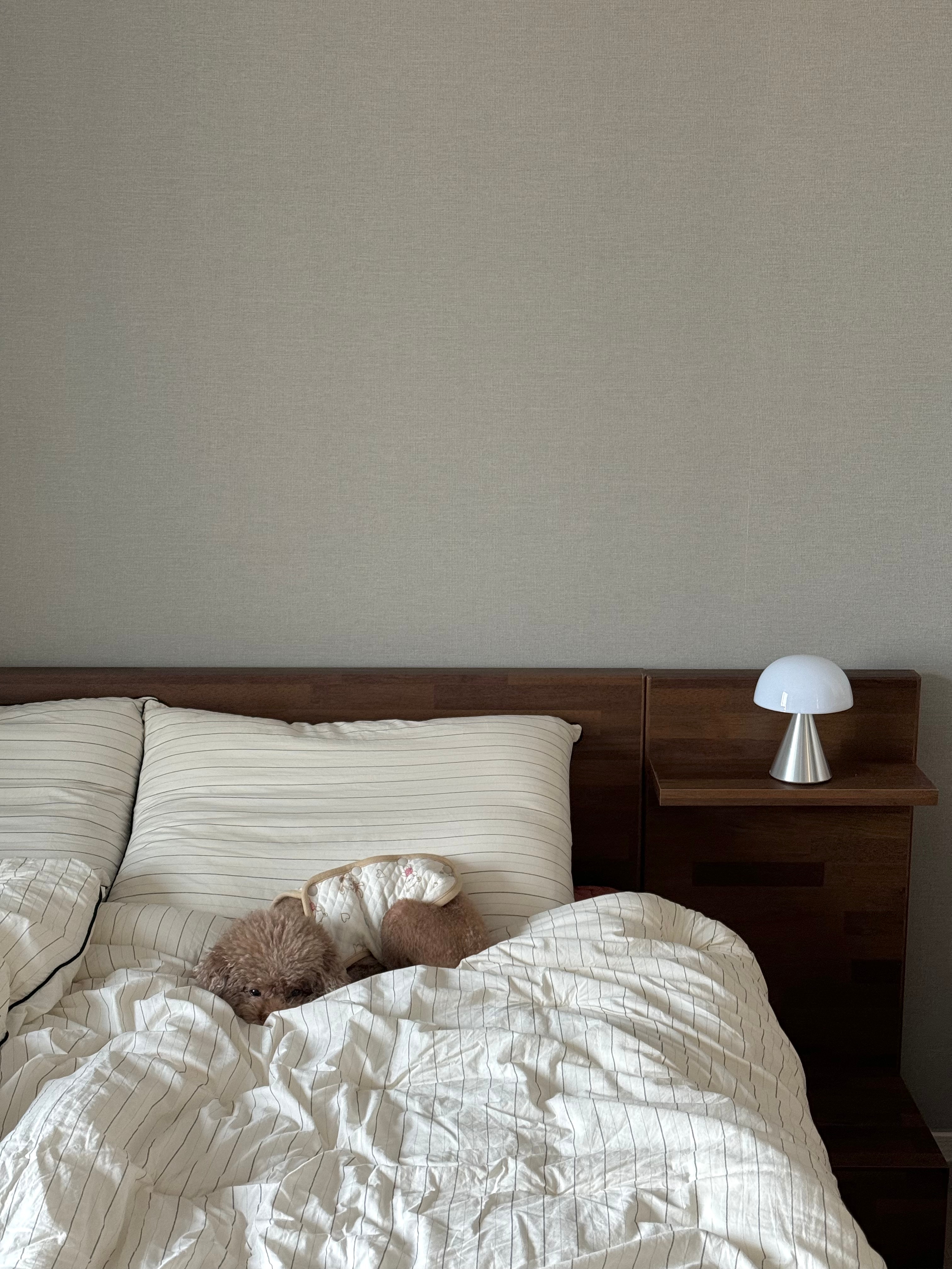 Striped Cotton Comforter for Spring/Summer user photo