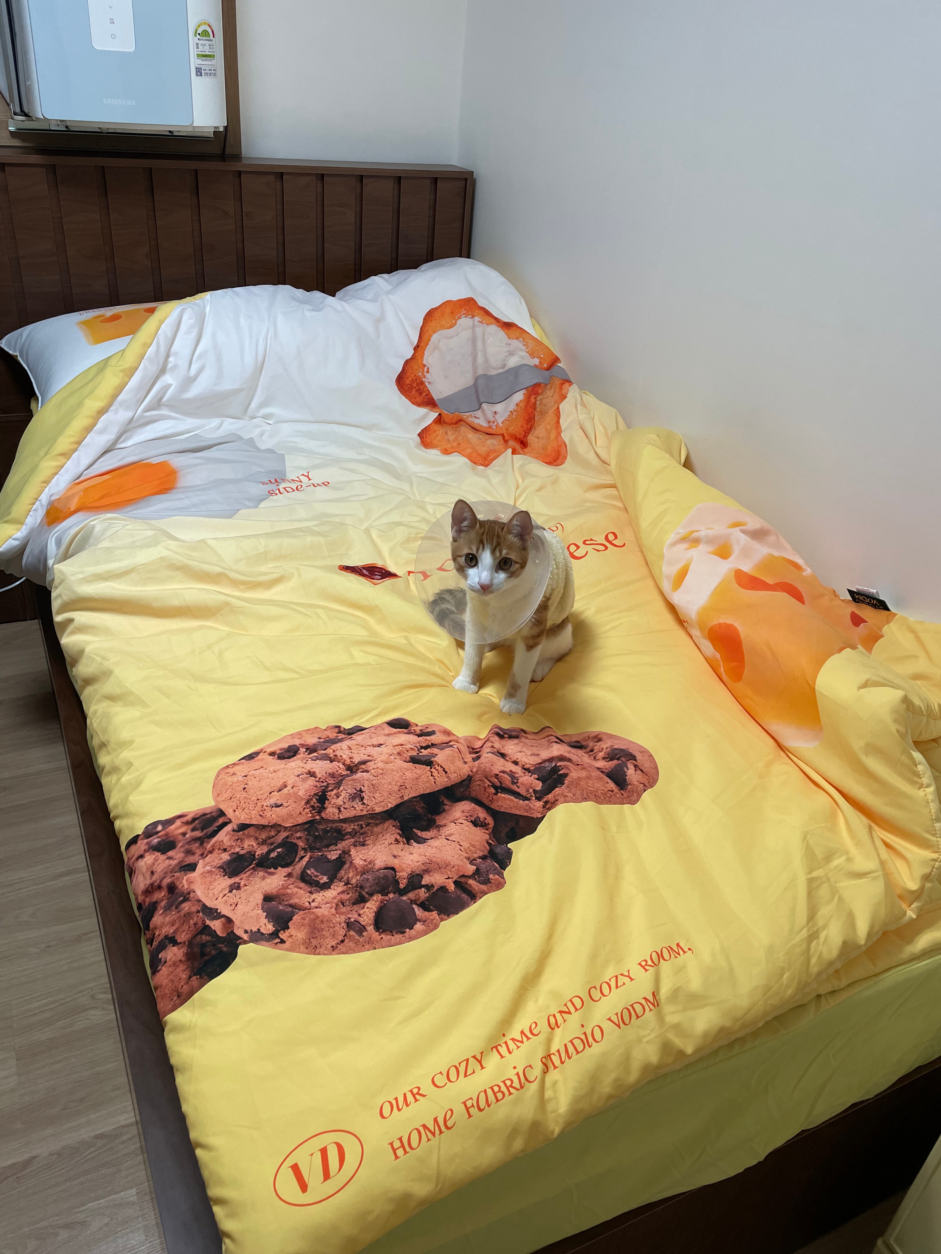 Palette Color Mattress Fitted Sheet user photo